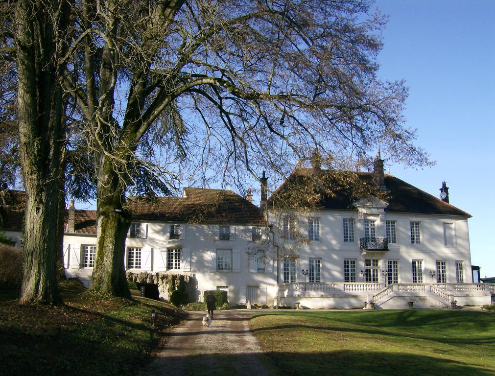 Le Chateau De Prauthoy Exterior foto